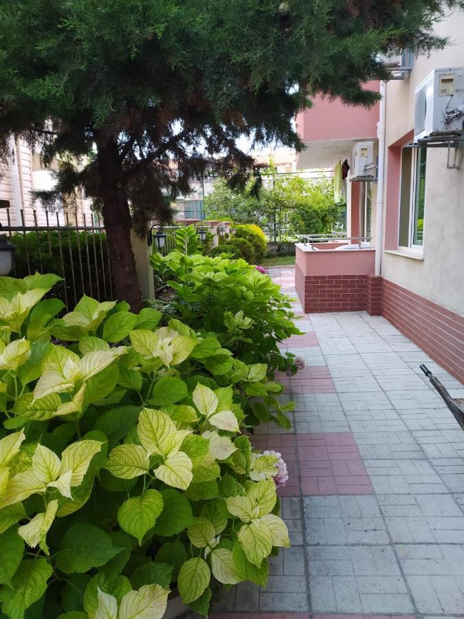 Apartment In Complex Tara 라브다 외부 사진