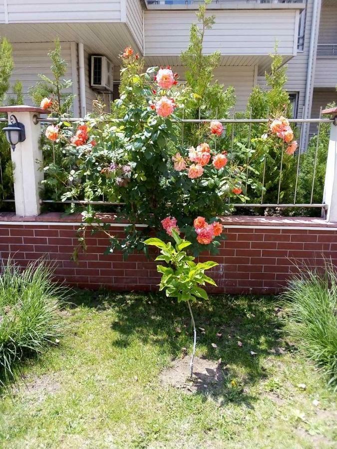Apartment In Complex Tara 라브다 외부 사진